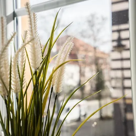 Apartament Old Town Heart Viii - Kościelna